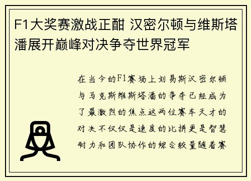 F1大奖赛激战正酣 汉密尔顿与维斯塔潘展开巅峰对决争夺世界冠军