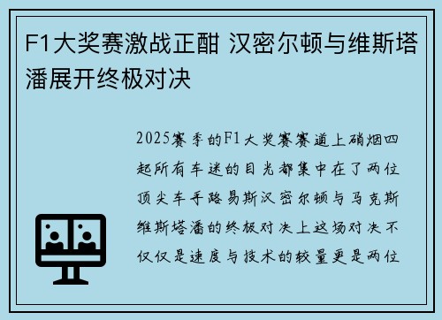 F1大奖赛激战正酣 汉密尔顿与维斯塔潘展开终极对决
